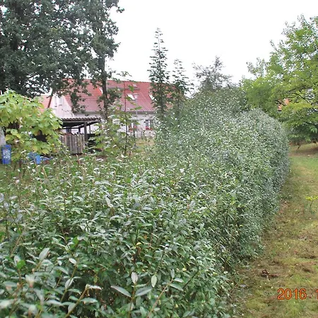 Alte Schule In * Apenburg-Winterfeld